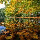 Herbst am Wasser