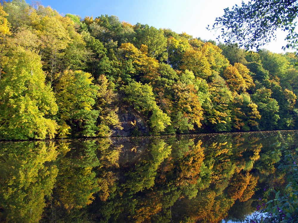 Herbst am Wasser