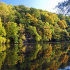 Herbst am Wasser