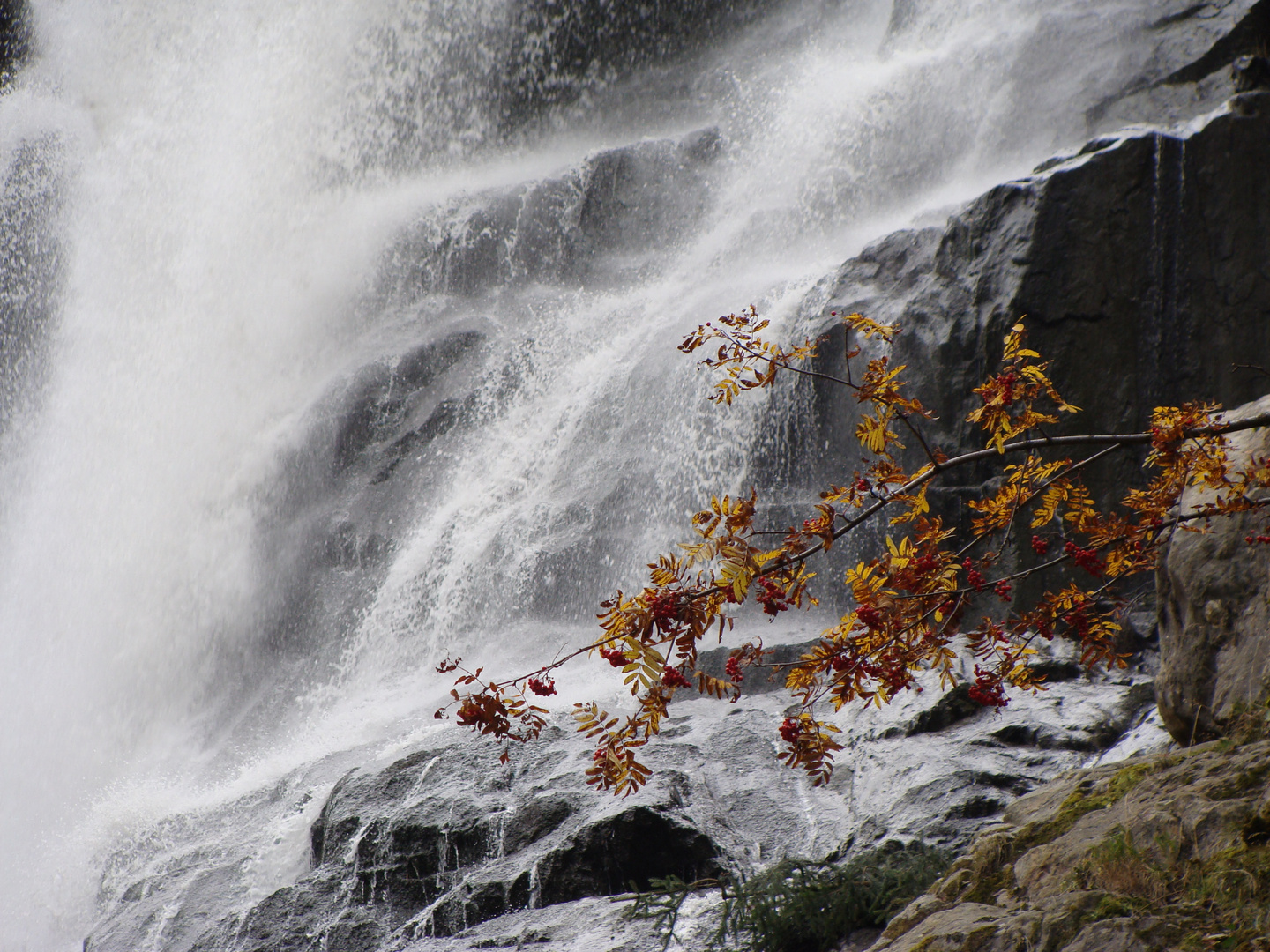 Herbst am Wasserfall