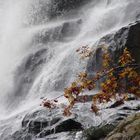 Herbst am Wasserfall