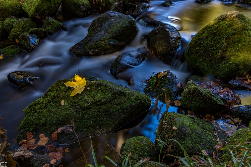 Herbst am Wasserfall in Menzenschwand