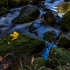 Herbst am Wasserfall in Menzenschwand