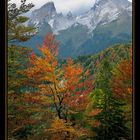 Herbst am Watzmann