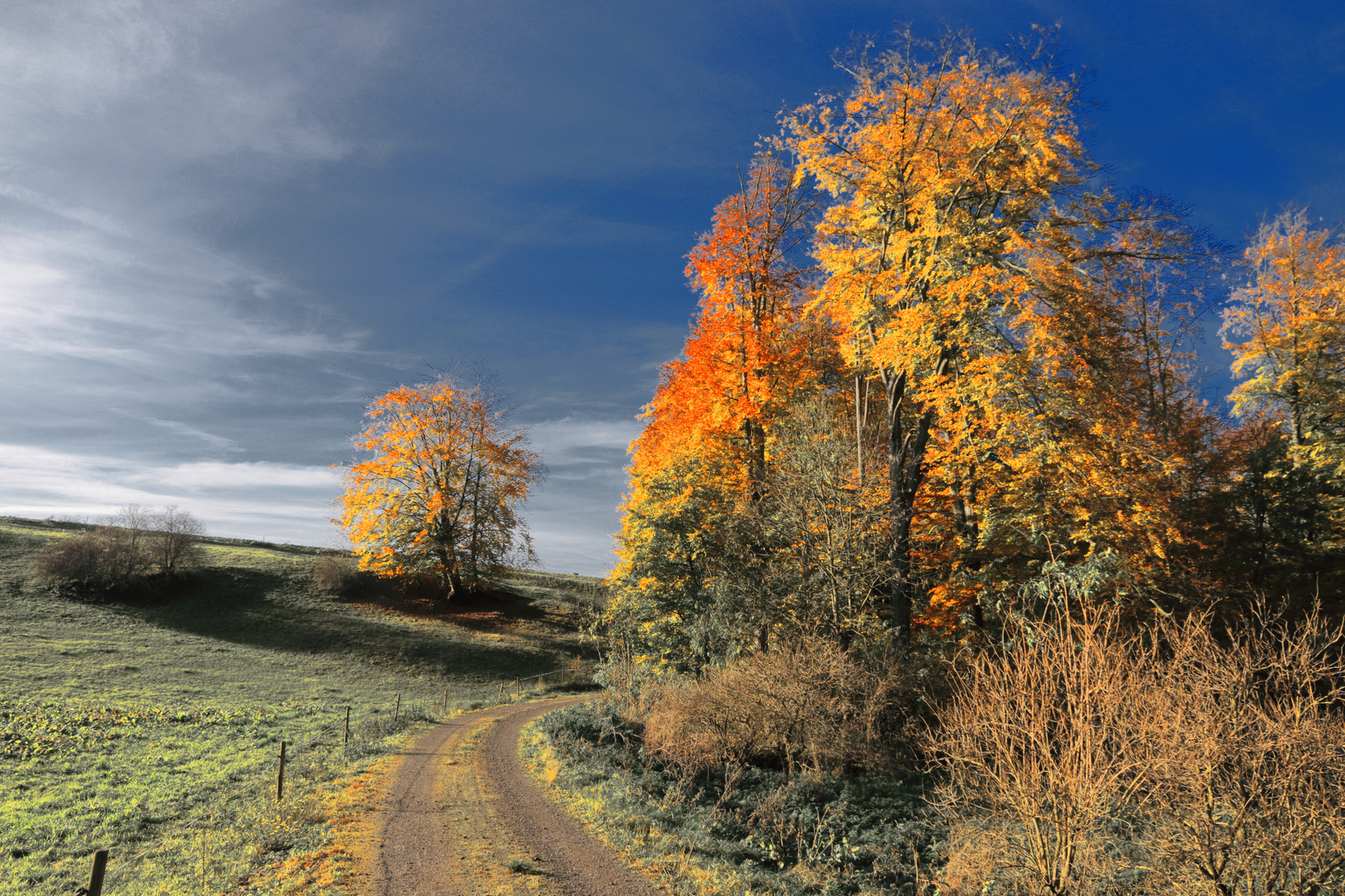 Herbst am Weg