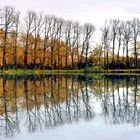 Herbst am Weiher