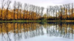 Herbst am Weiher