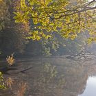 Herbst am Weiher