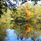 Herbst am Weiher