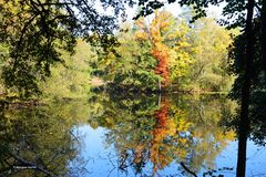 Herbst am Weiher