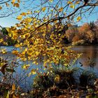 Herbst am Weiher