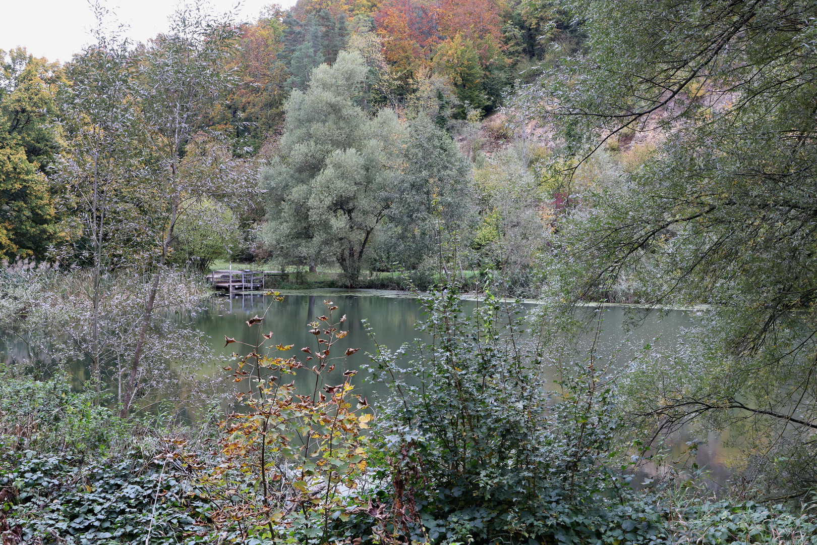 Herbst am Weiher