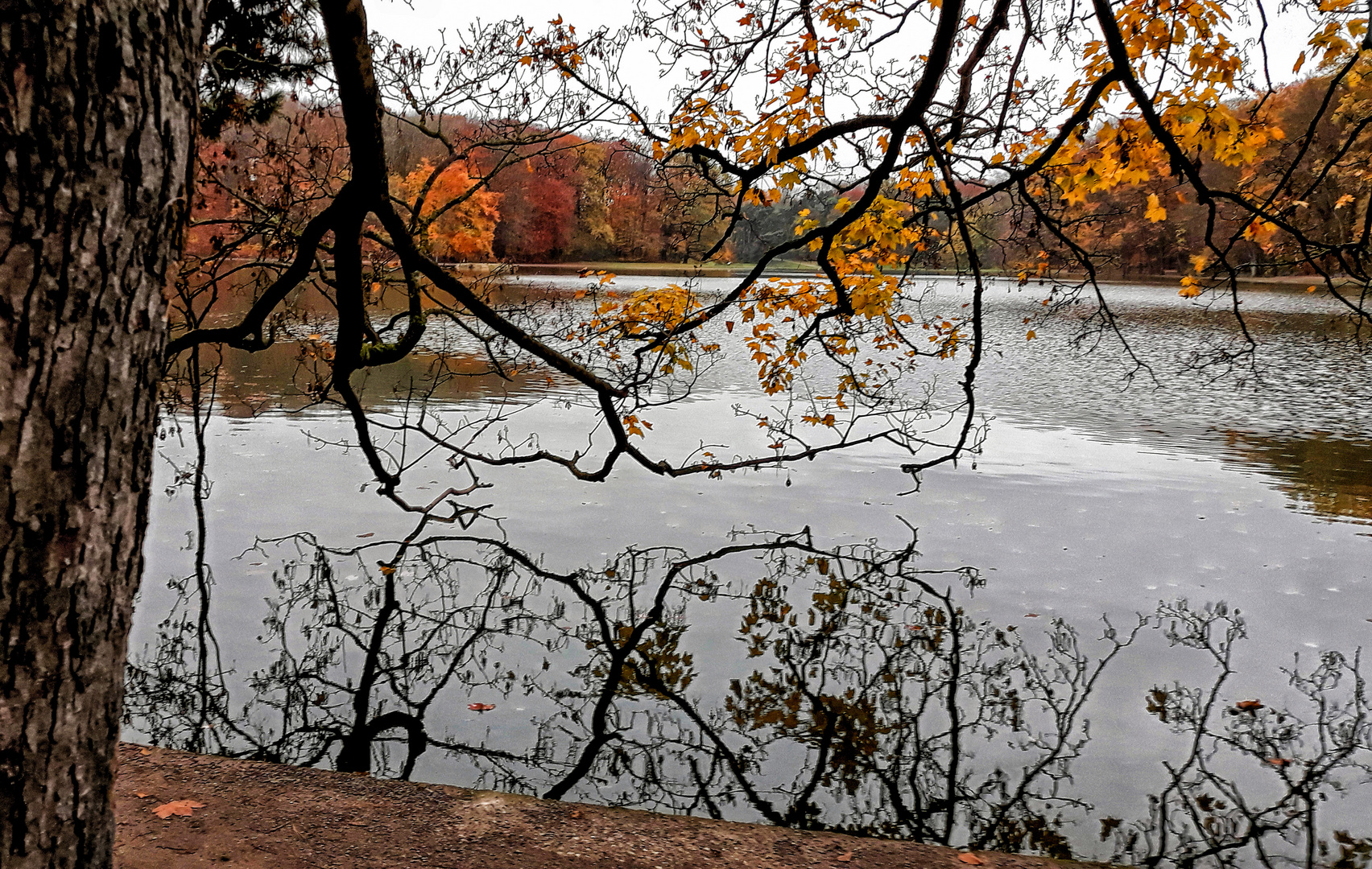 HERBST AM WEIHER...