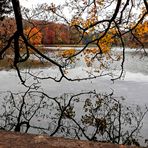 HERBST AM WEIHER...