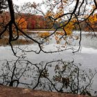 HERBST AM WEIHER...