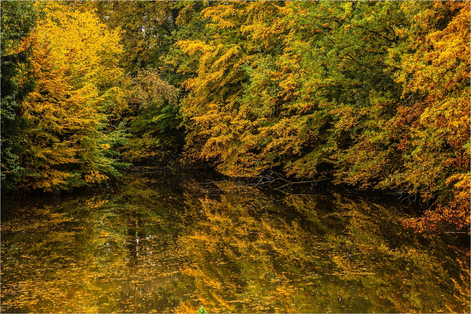 Herbst am Weiher