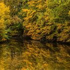 Herbst am Weiher