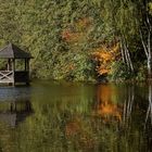 Herbst am Weiher