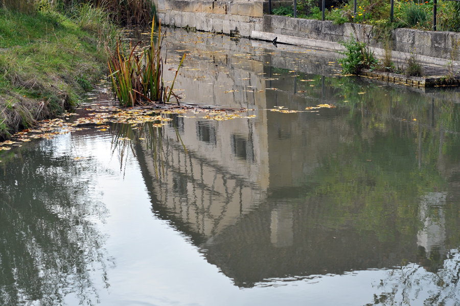 Herbst am Weiher