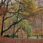 Herbst am Weiher