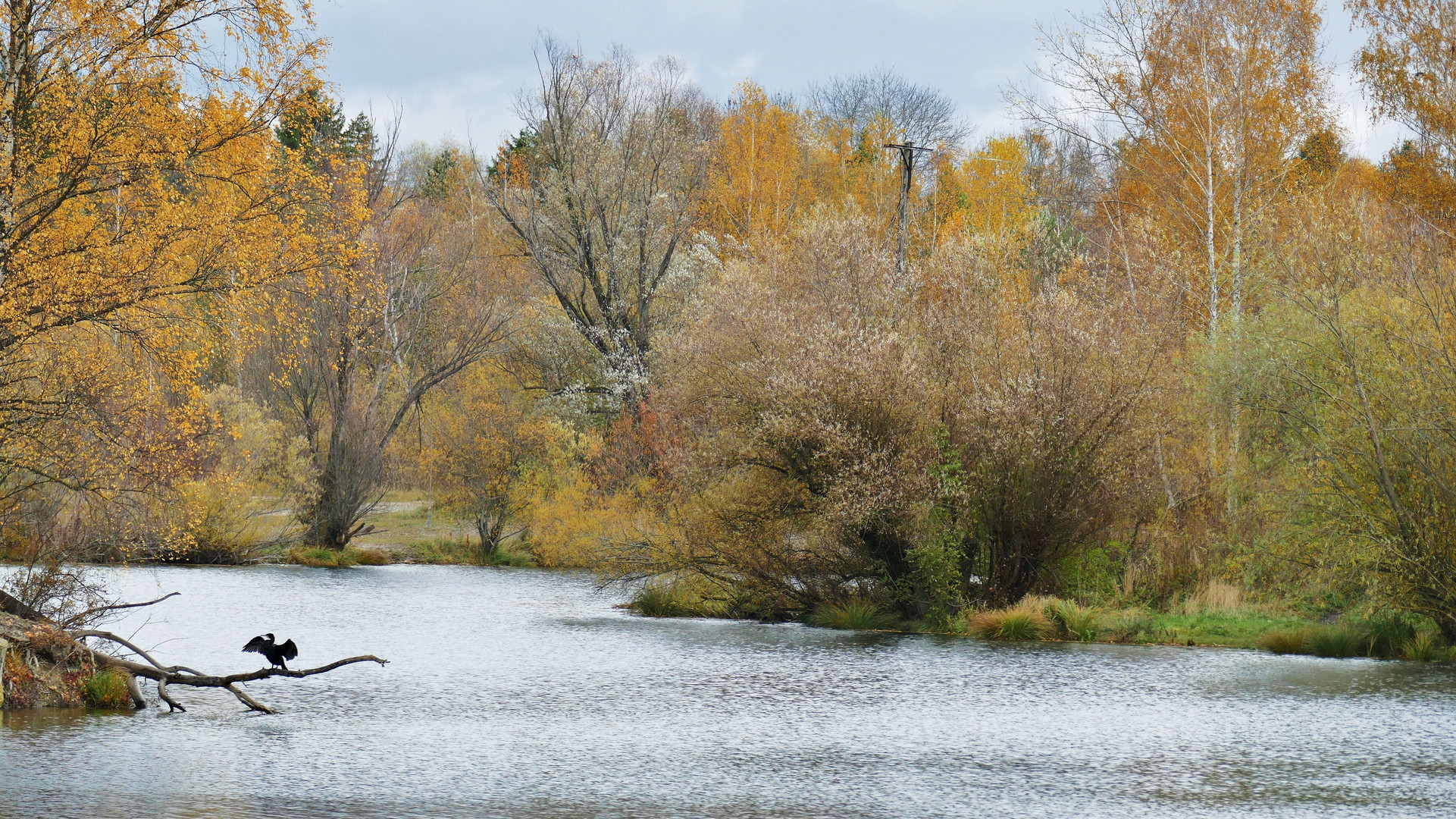 Herbst am Weiher