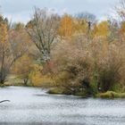 Herbst am Weiher