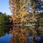 Herbst am Weiher