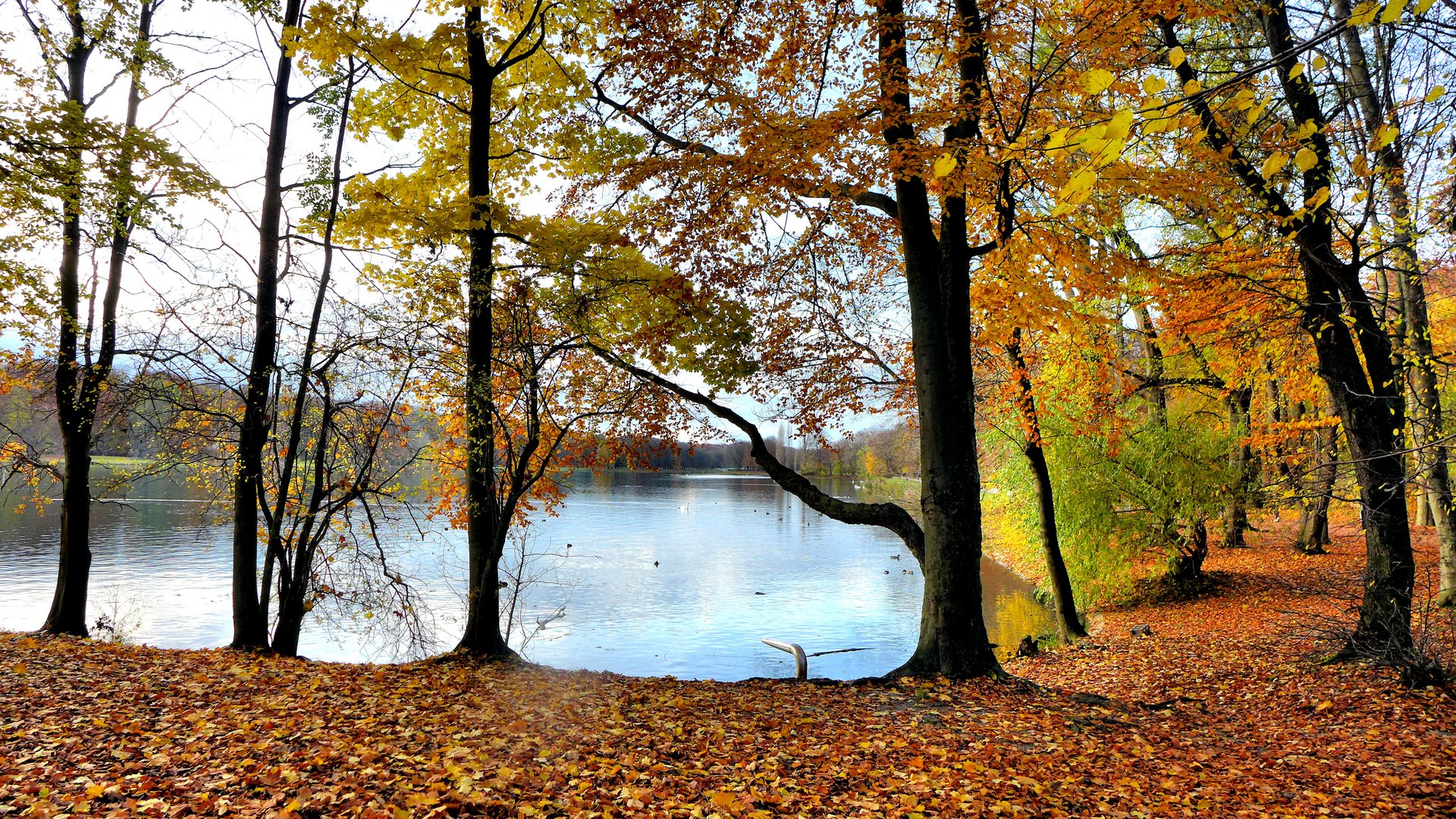 Herbst am Weiher