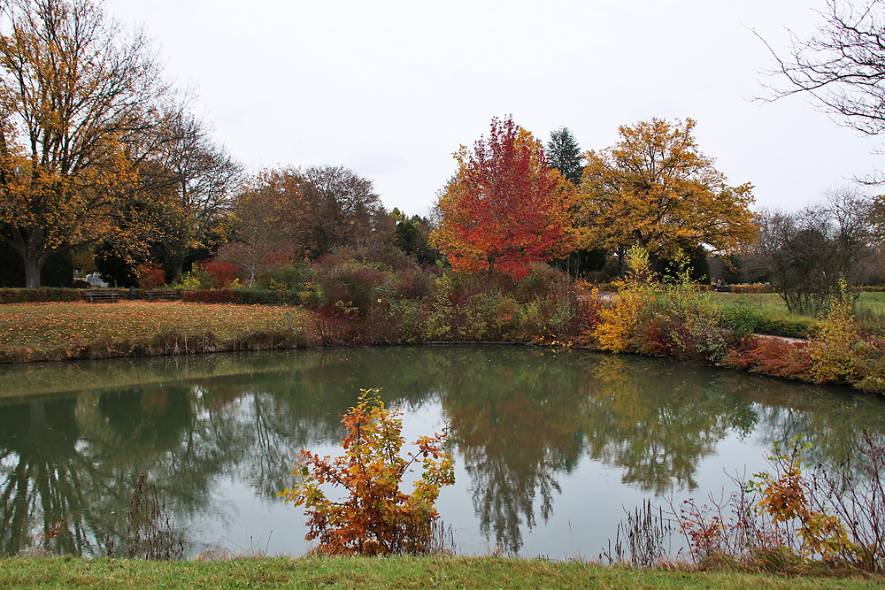 Herbst am Weiher