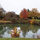 Herbst am Weiher