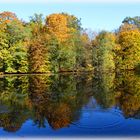 Herbst am Weiher