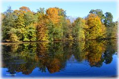 Herbst am Weiher