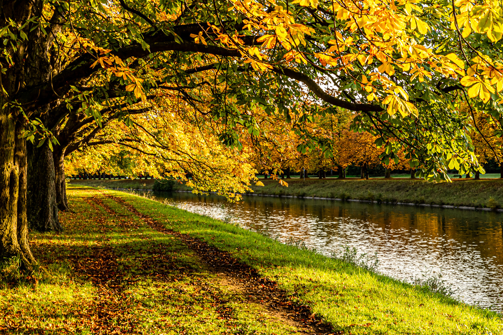 Herbst am Weiher