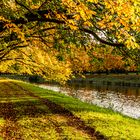 Herbst am Weiher