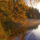 Herbst am Weiher