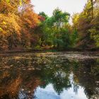 Herbst am Weiher