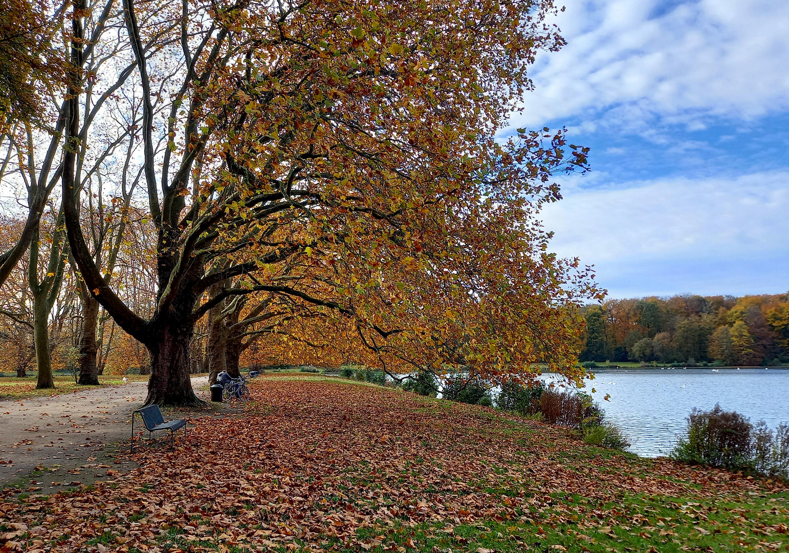 Herbst am Weiher