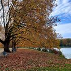 Herbst am Weiher