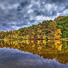 Herbst am Weiher