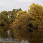 Herbst am Weiher