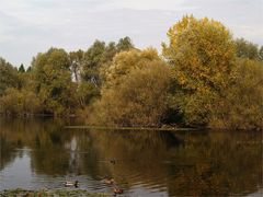 Herbst am Weiher