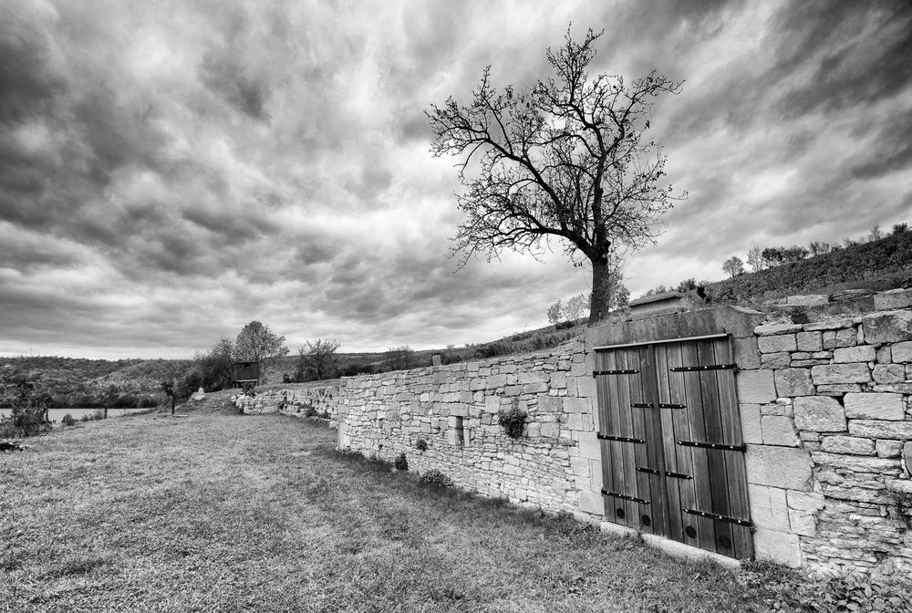 Herbst am Weinberg