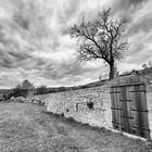 Herbst am Weinberg