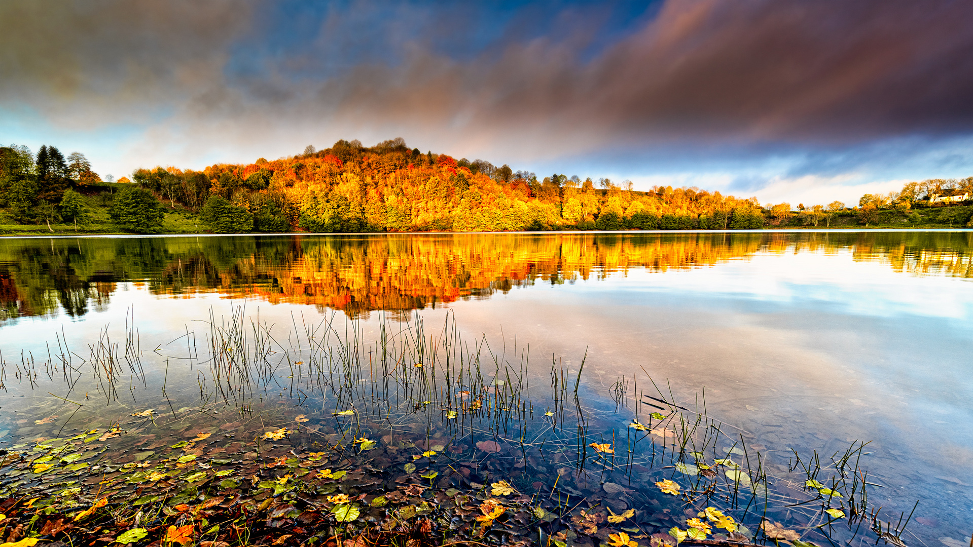 Herbst am Weinfelder Maar