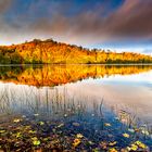 Herbst am Weinfelder Maar