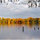 Herbst am Westensee