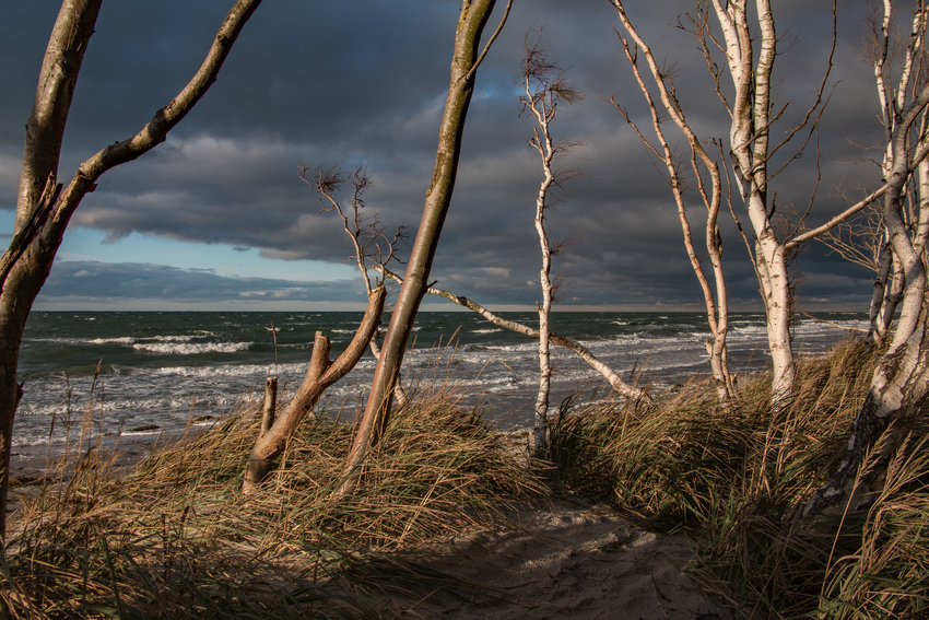 Herbst am Weststrand