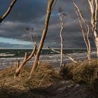 Herbst am Weststrand