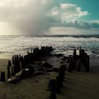 Herbst am Weststrand