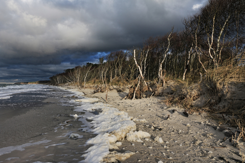 Herbst am Weststrand (Darß)